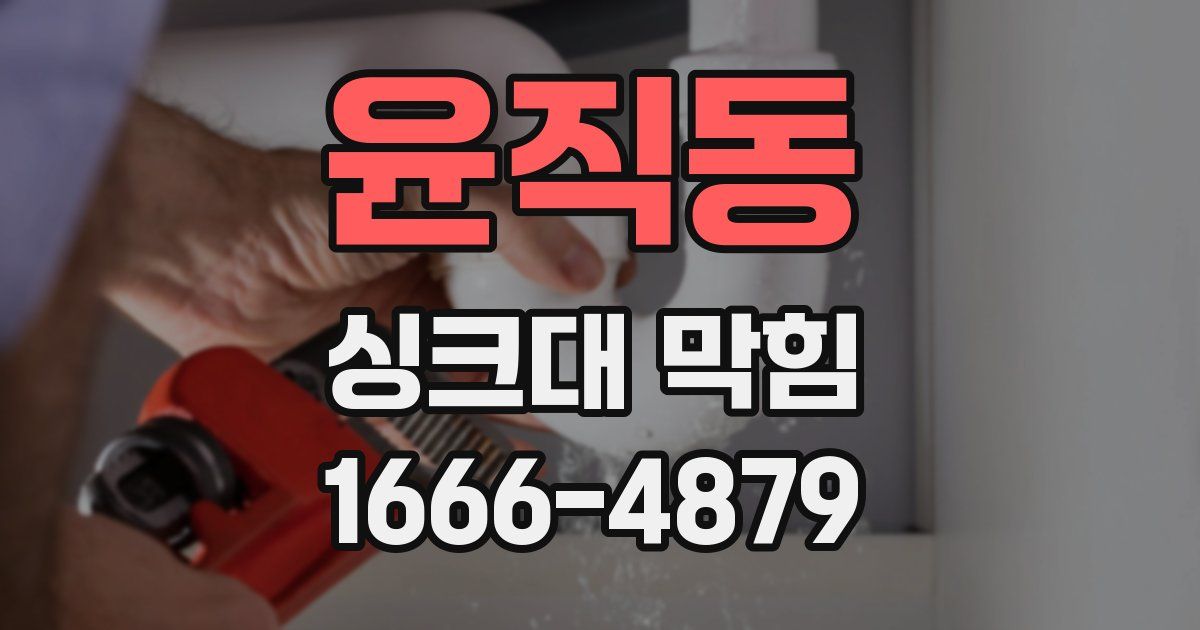 윤직동 싱크대 막힘