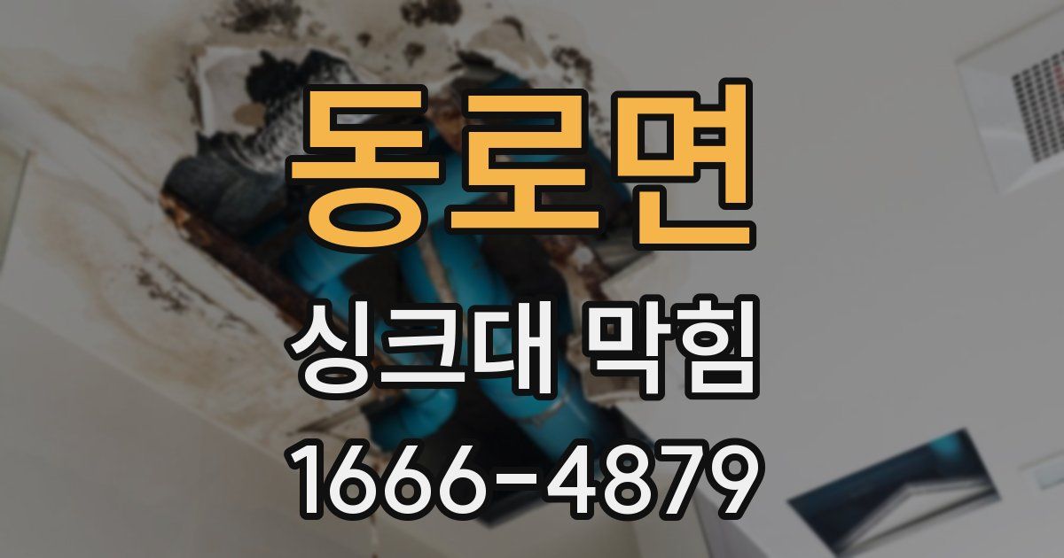 동로면 싱크대 막힘