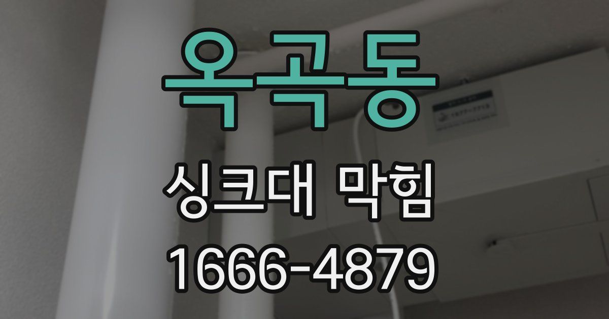 옥곡동 싱크대 막힘