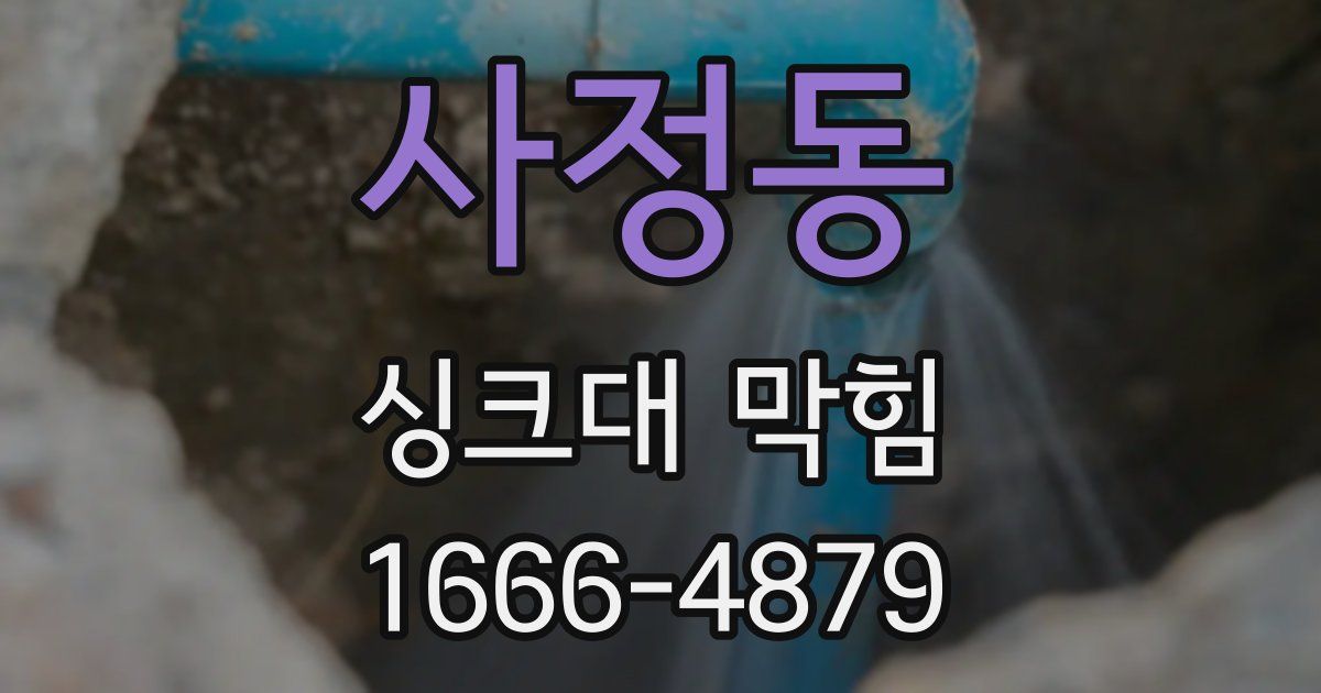 사정동 싱크대 막힘