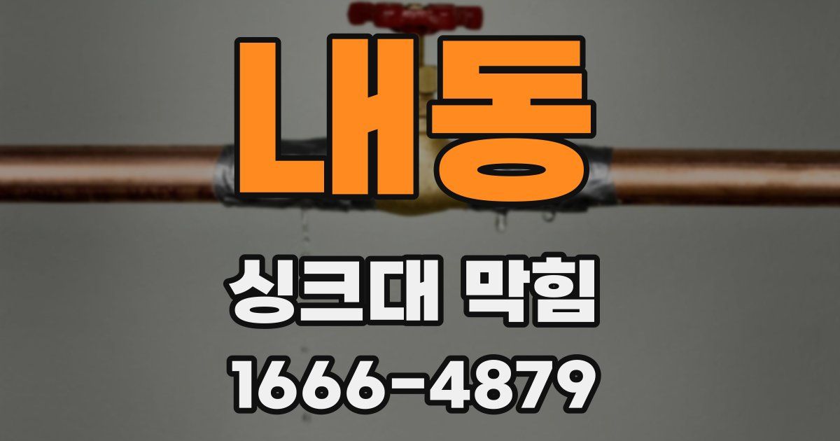 내동 싱크대 막힘