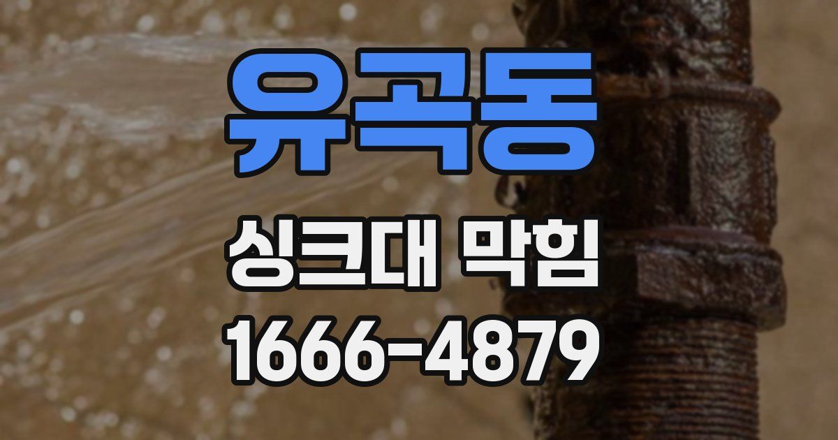 유곡동 싱크대 막힘