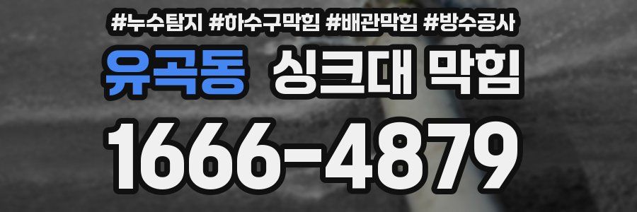 유곡동 싱크대 막힘
