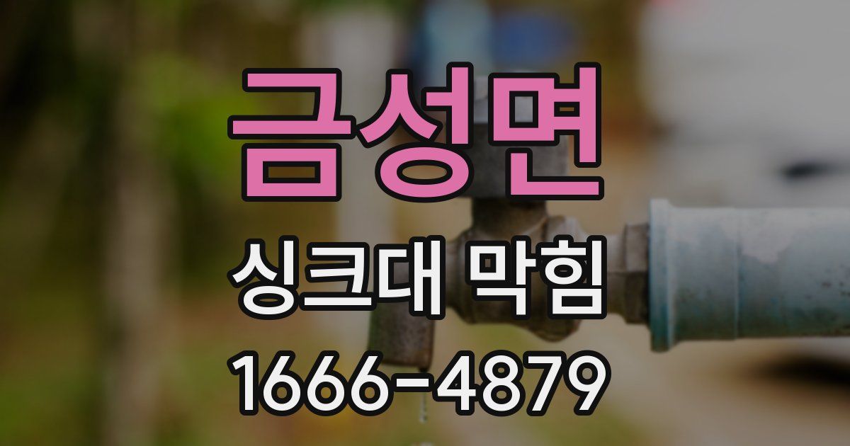 금성면 싱크대 막힘