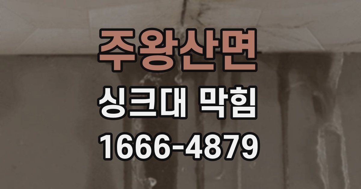 주왕산면 싱크대 막힘