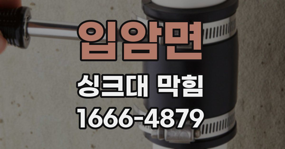 입암면 싱크대 막힘