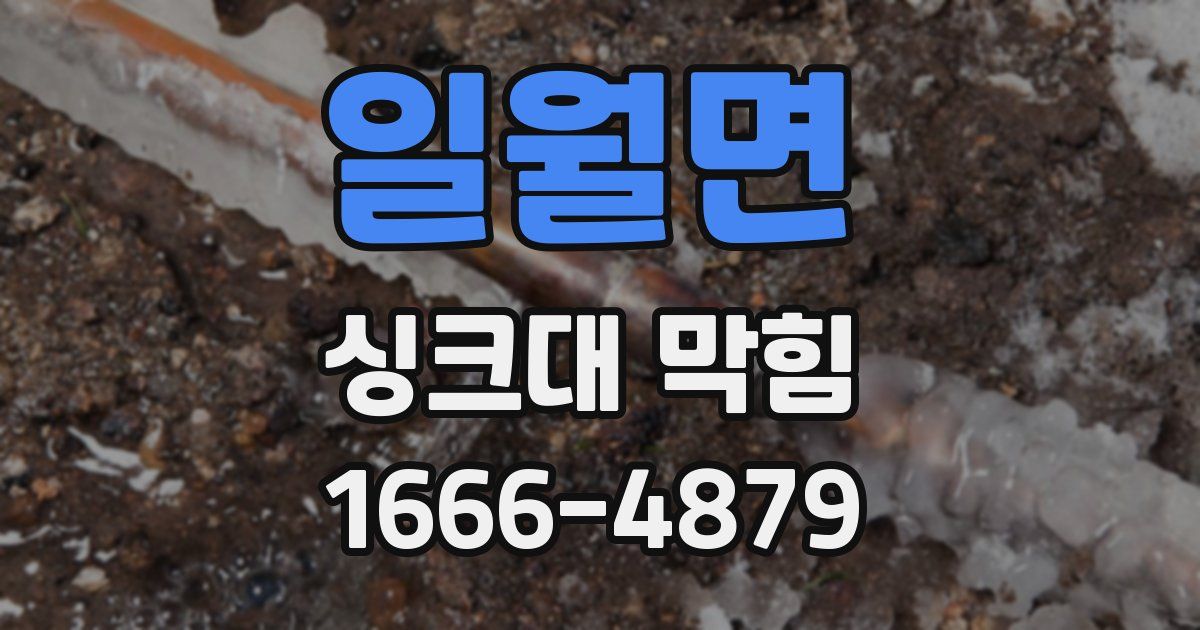 일월면 싱크대 막힘