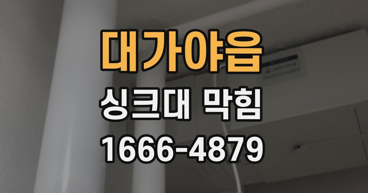 대가야읍 싱크대 막힘