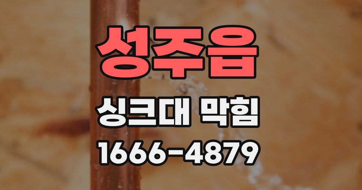 성주읍 싱크대 막힘