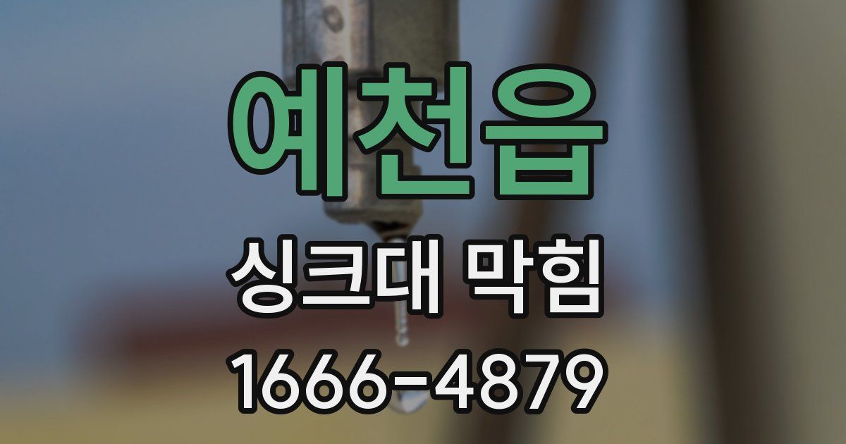 예천읍 싱크대 막힘