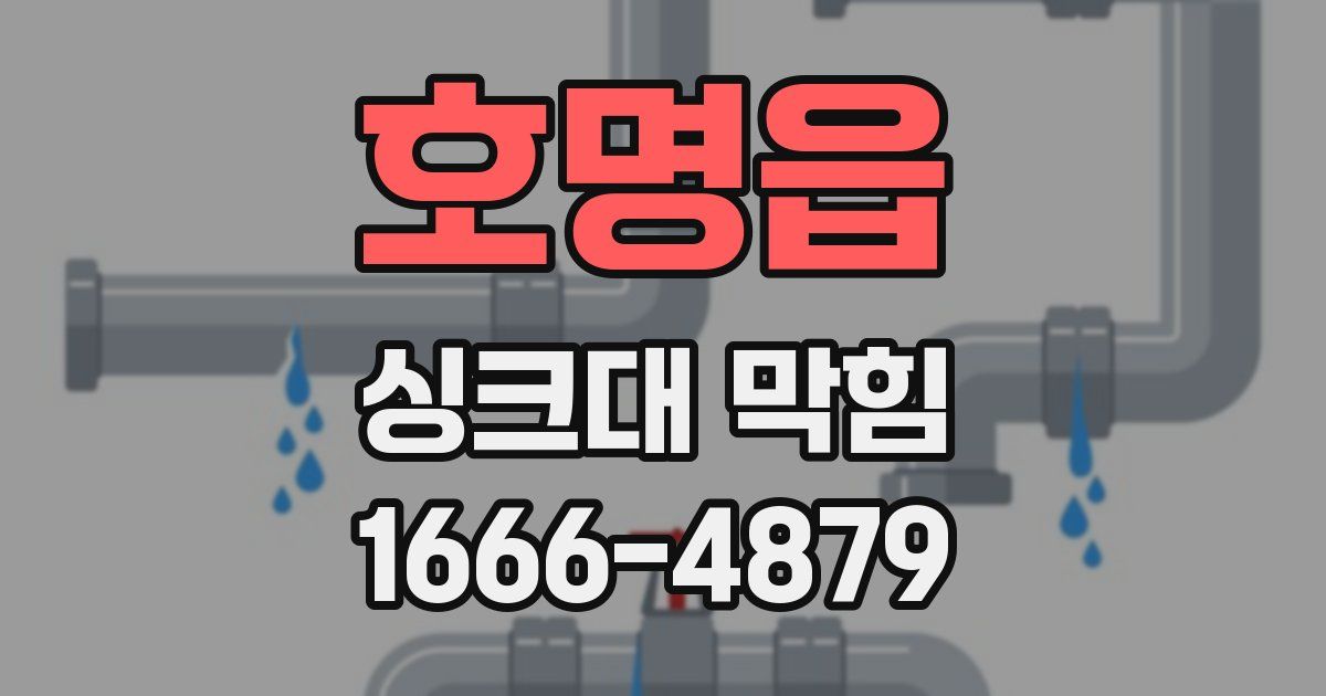 호명읍 싱크대 막힘