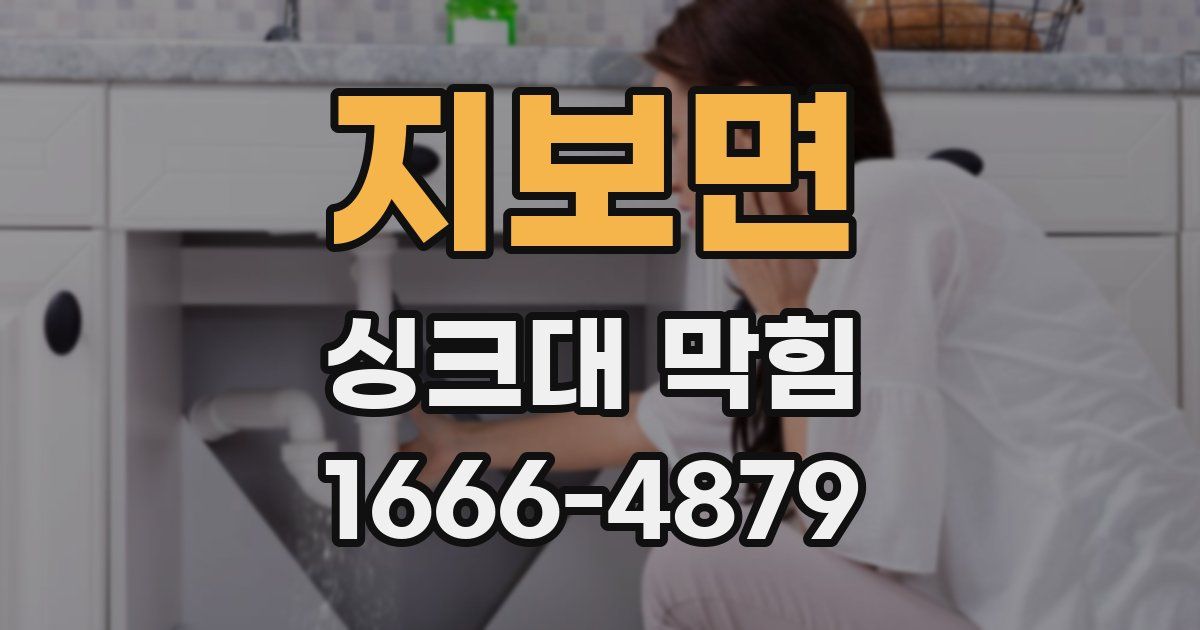 지보면 싱크대 막힘