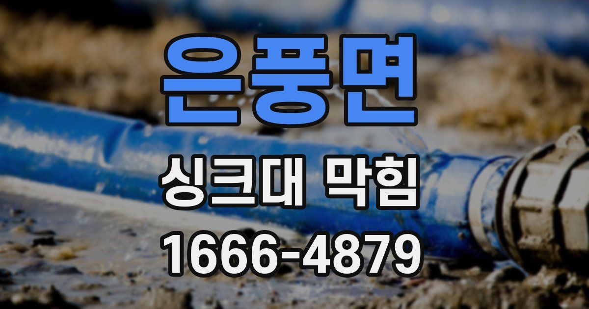 은풍면 싱크대 막힘