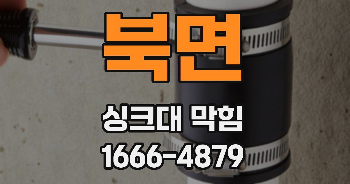 북면 싱크대 막힘