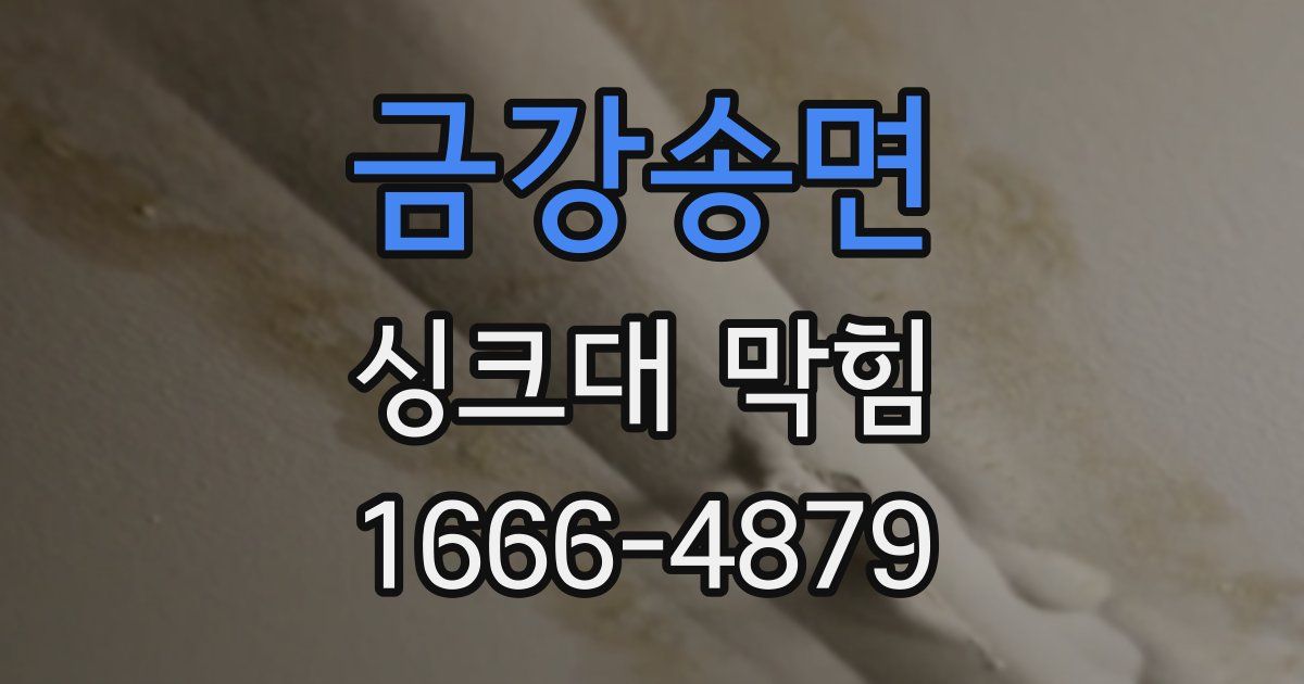 금강송면 싱크대 막힘