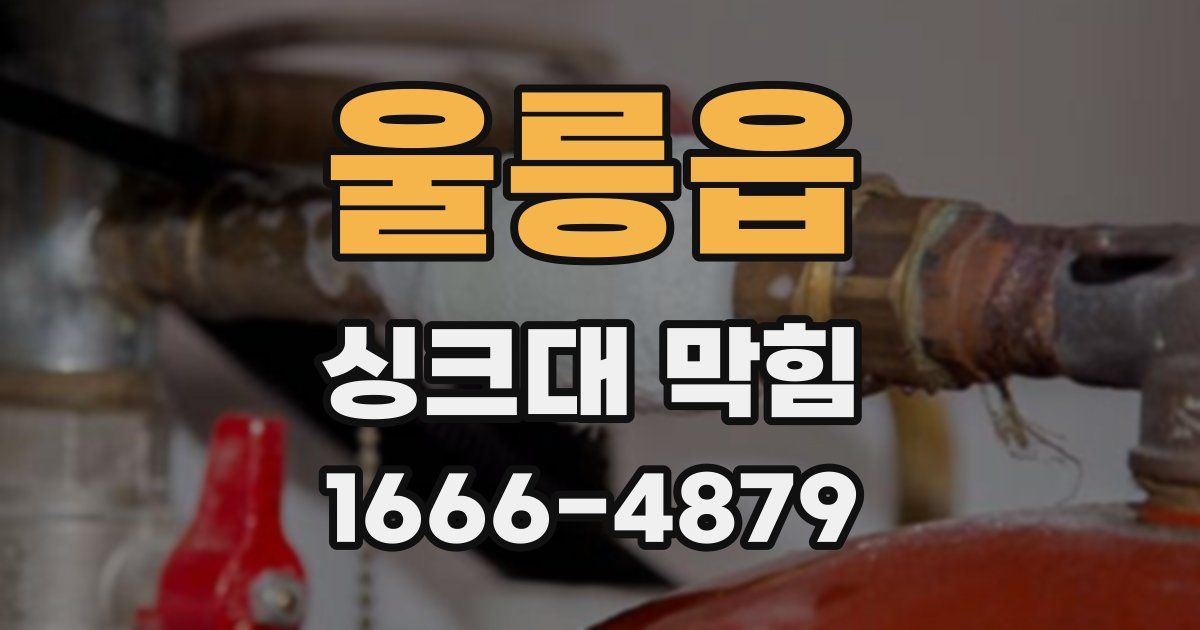 울릉읍 싱크대 막힘