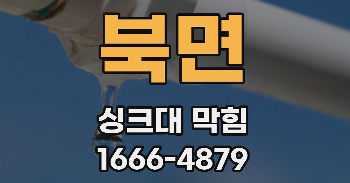 북면 싱크대 막힘