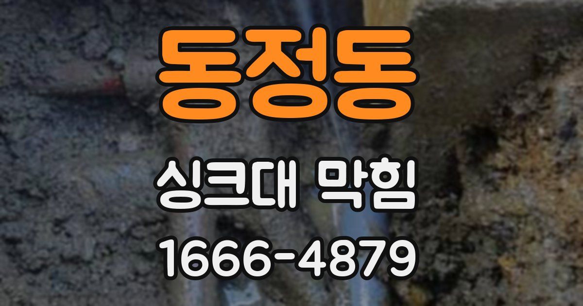 동정동 싱크대 막힘
