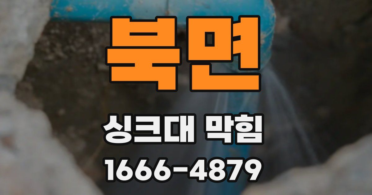 북면 싱크대 막힘