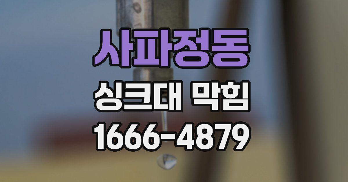 사파정동 싱크대 막힘