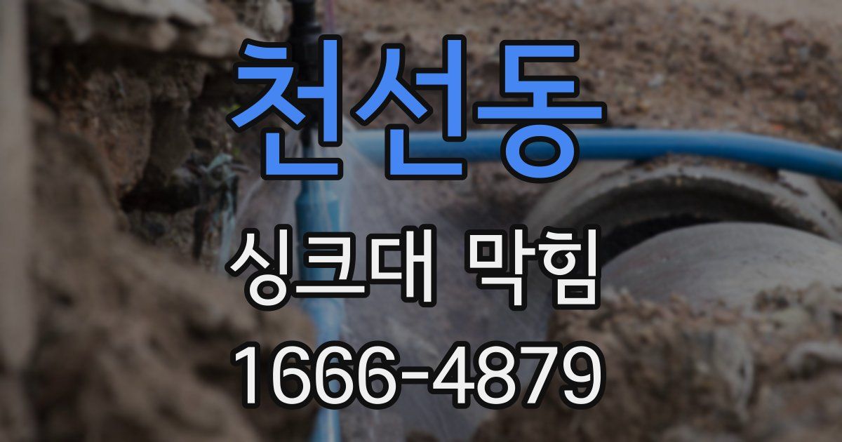천선동 싱크대 막힘