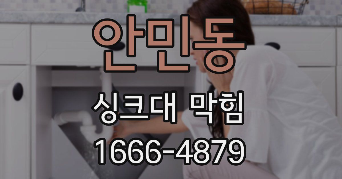 안민동 싱크대 막힘