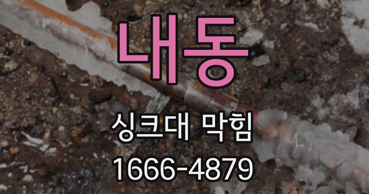 내동 싱크대 막힘
