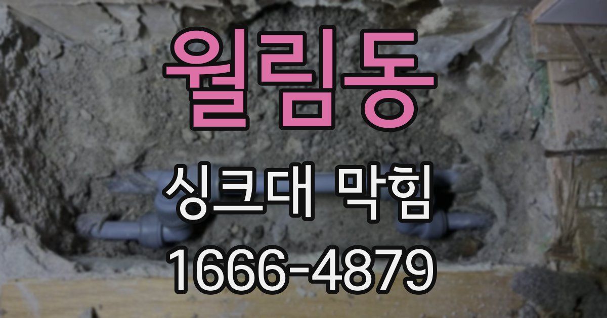 월림동 싱크대 막힘