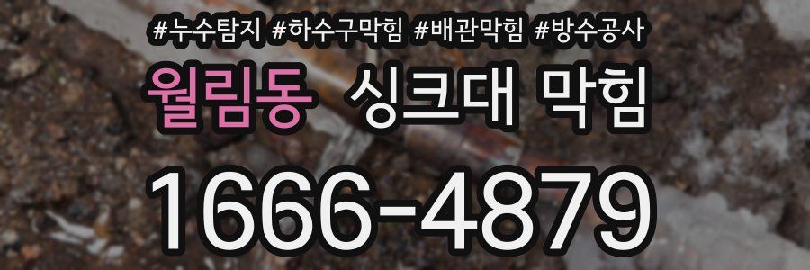 월림동 싱크대 막힘