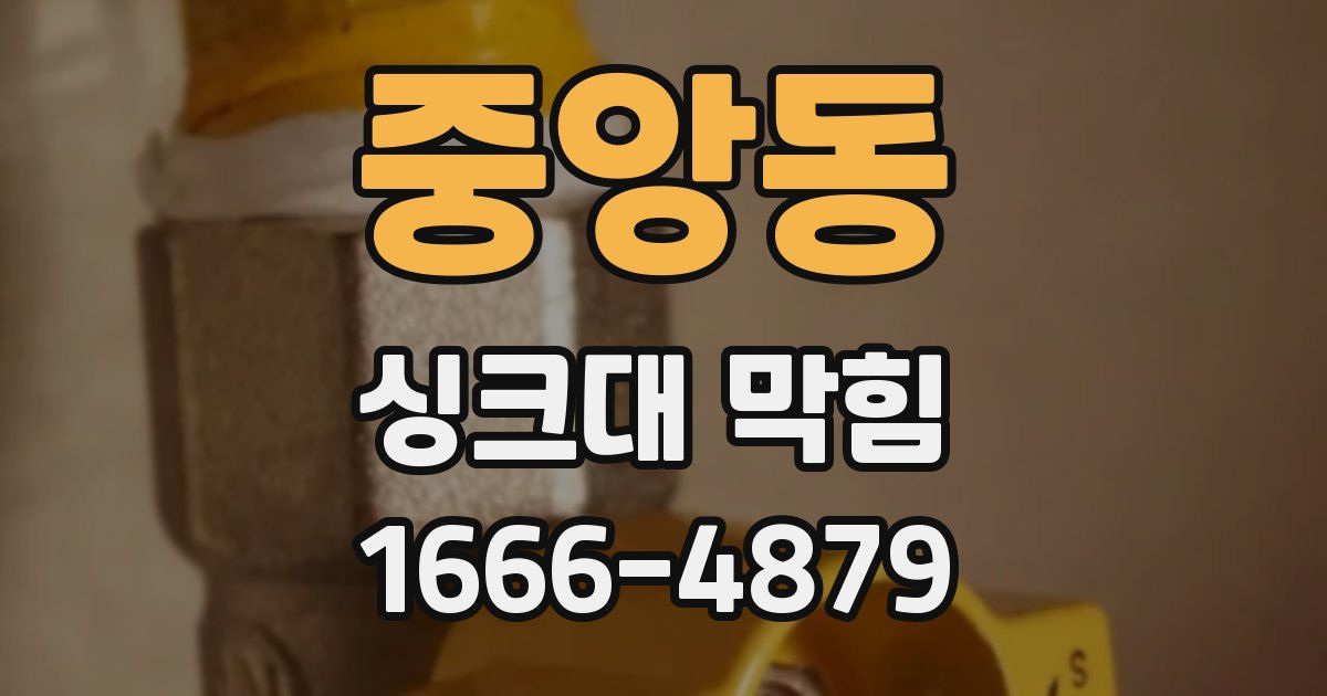 중앙동 싱크대 막힘