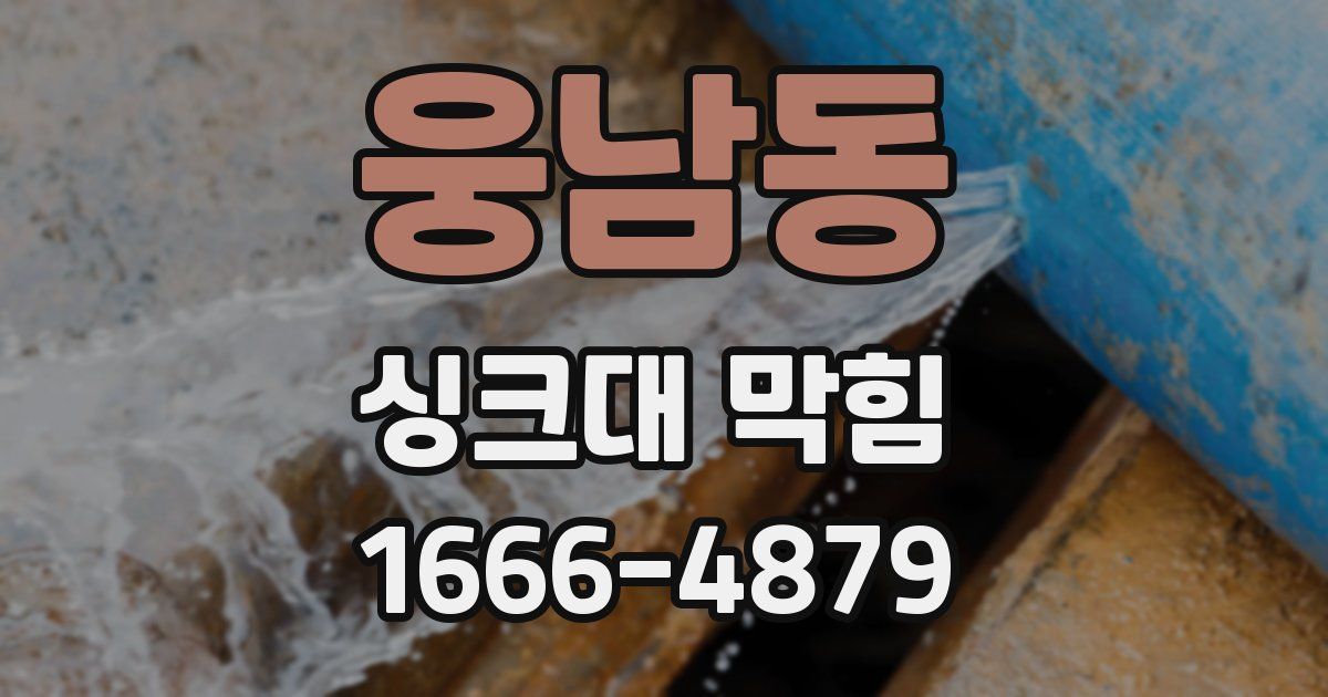 웅남동 싱크대 막힘