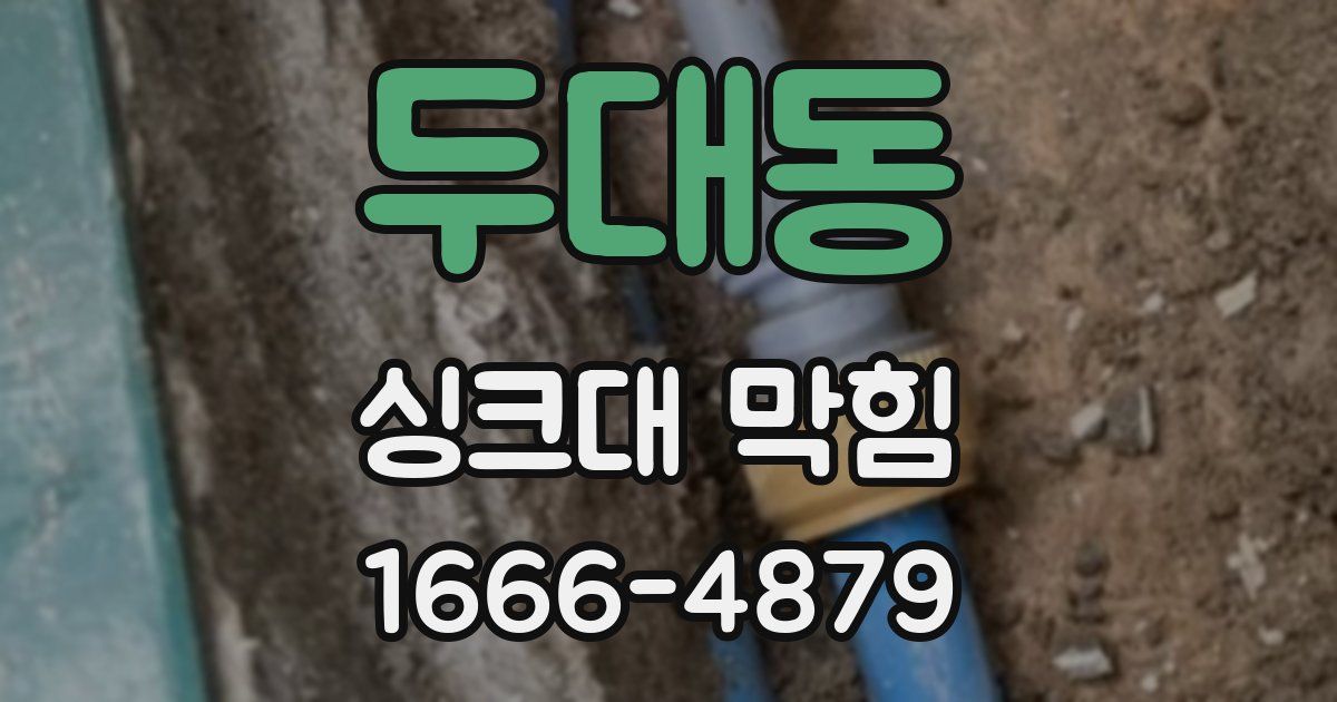두대동 싱크대 막힘