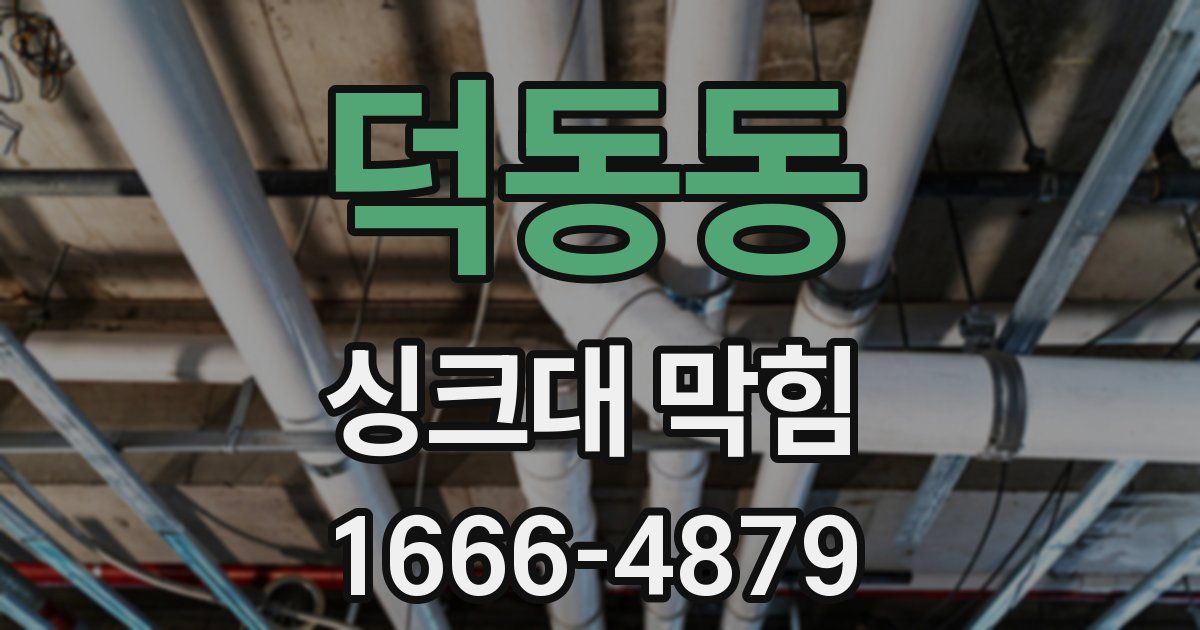 덕동동 싱크대 막힘