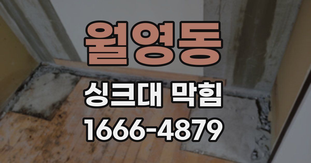 월영동 싱크대 막힘