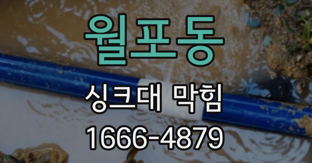 월포동 싱크대 막힘
