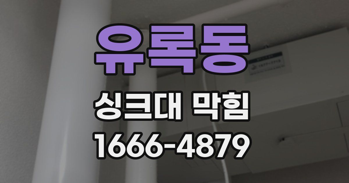 유록동 싱크대 막힘
