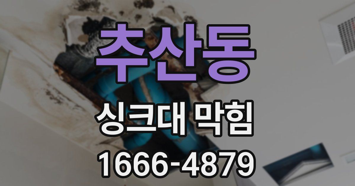 추산동 싱크대 막힘