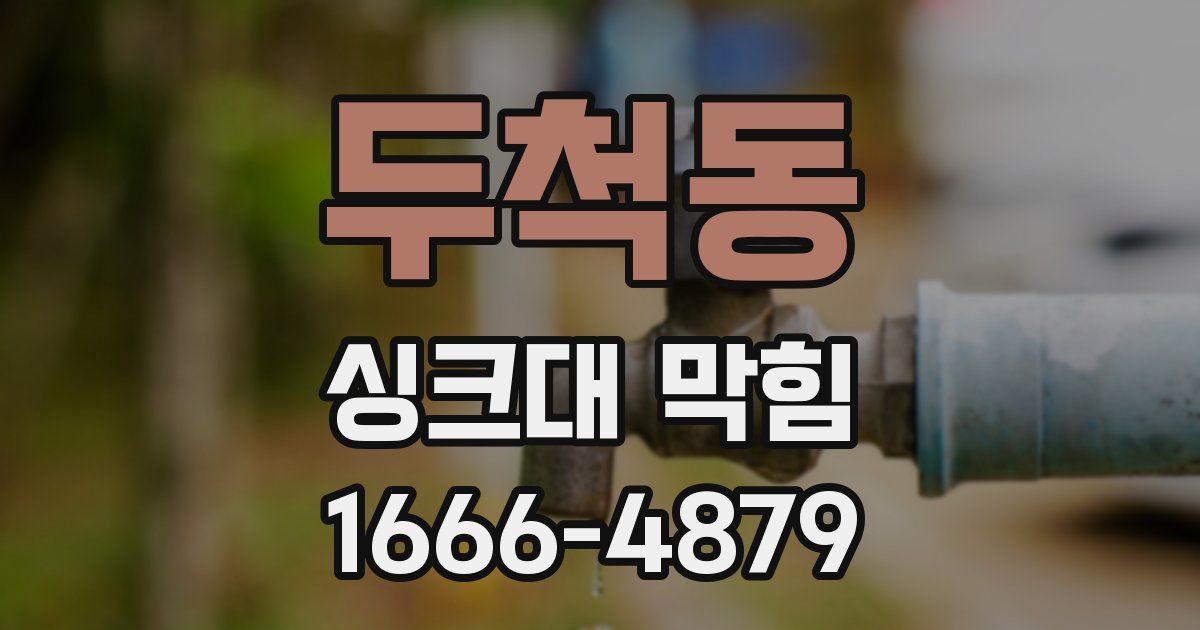 두척동 싱크대 막힘