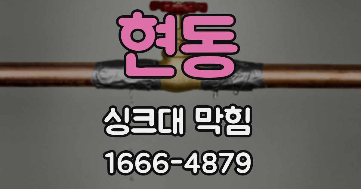 현동 싱크대 막힘