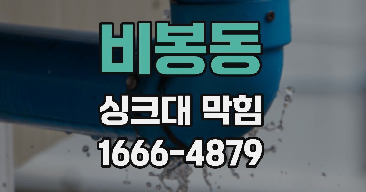 비봉동 싱크대 막힘