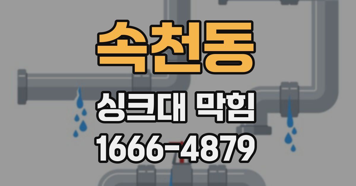 속천동 싱크대 막힘