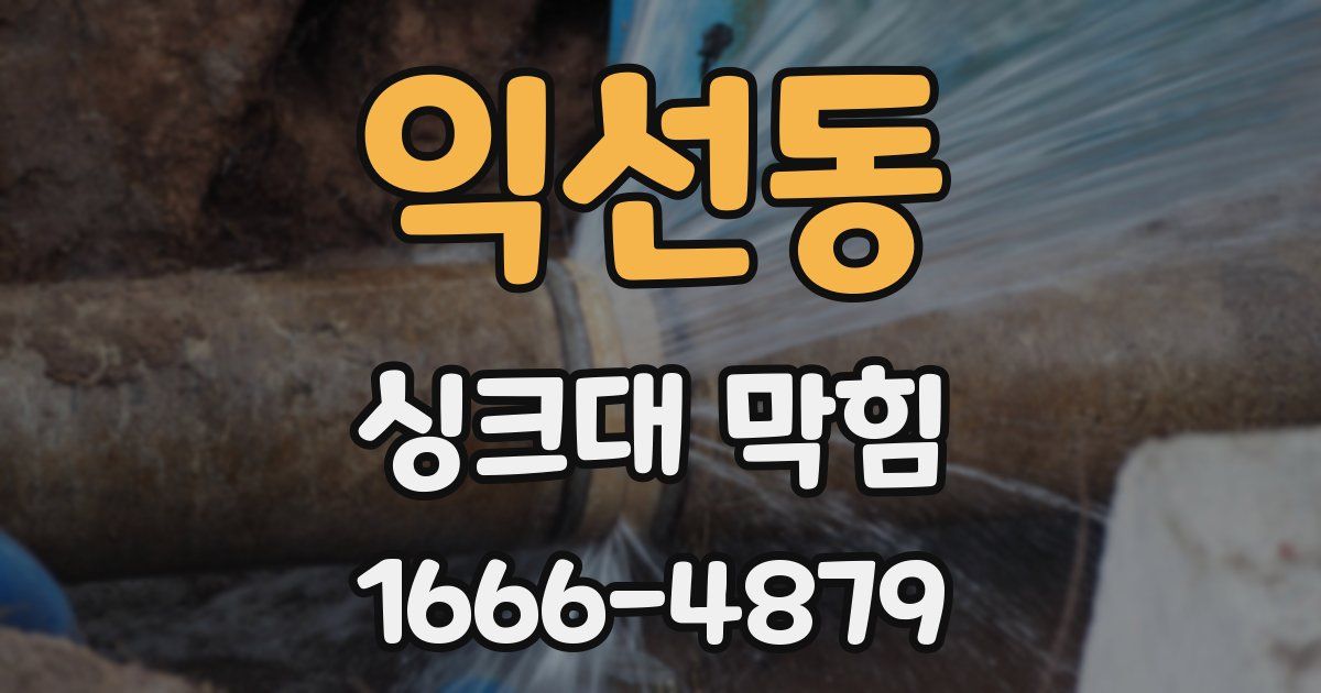 익선동 싱크대 막힘