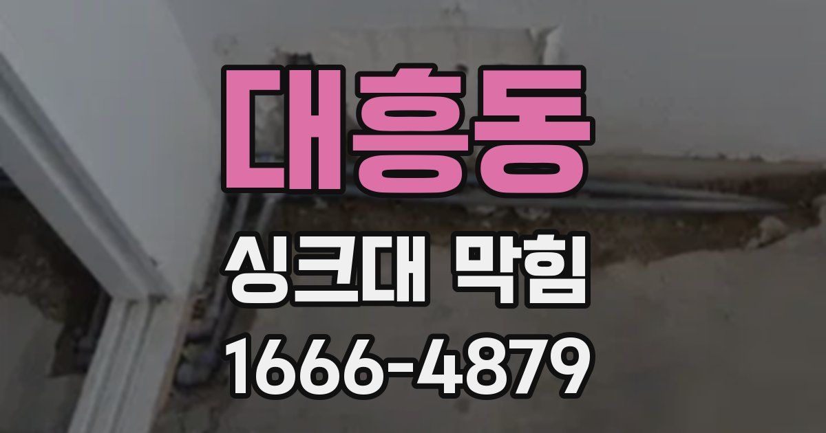 대흥동 싱크대 막힘