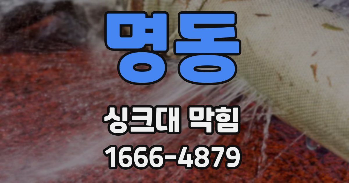 명동 싱크대 막힘