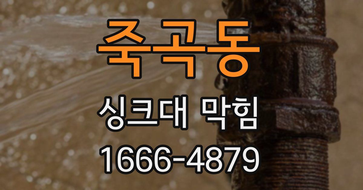 죽곡동 싱크대 막힘