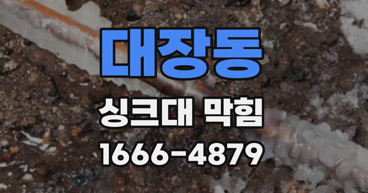 대장동 싱크대 막힘
