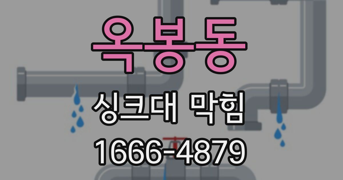 옥봉동 싱크대 막힘