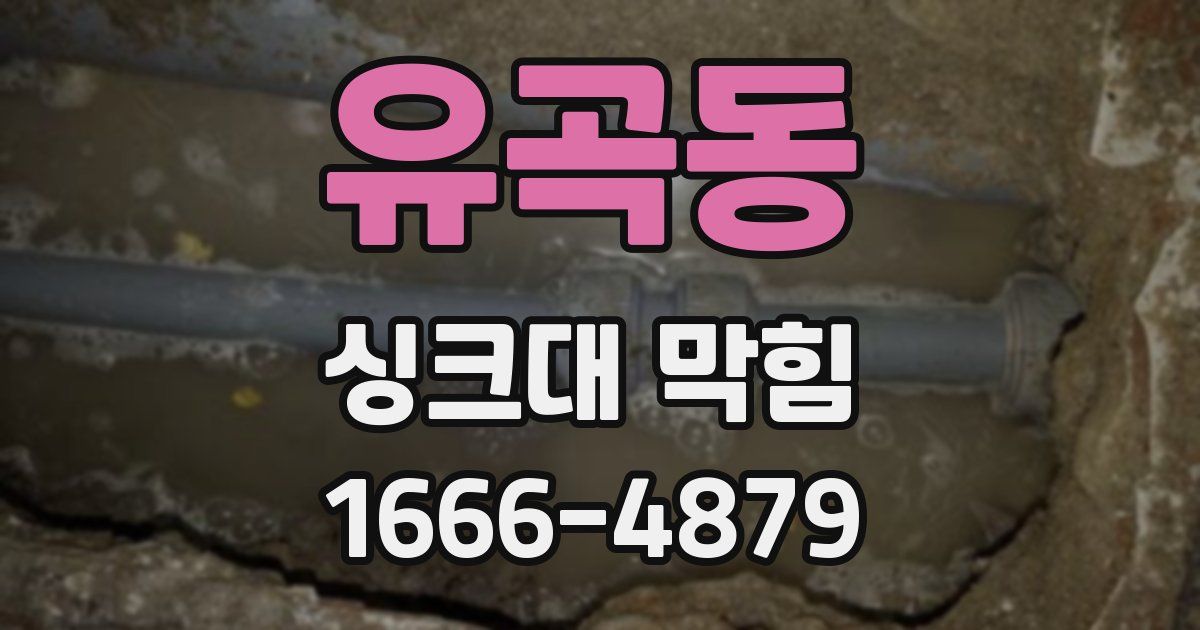 유곡동 싱크대 막힘