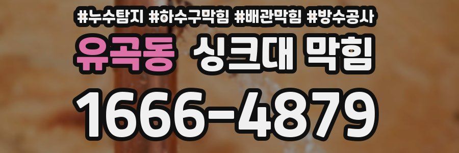유곡동 싱크대 막힘