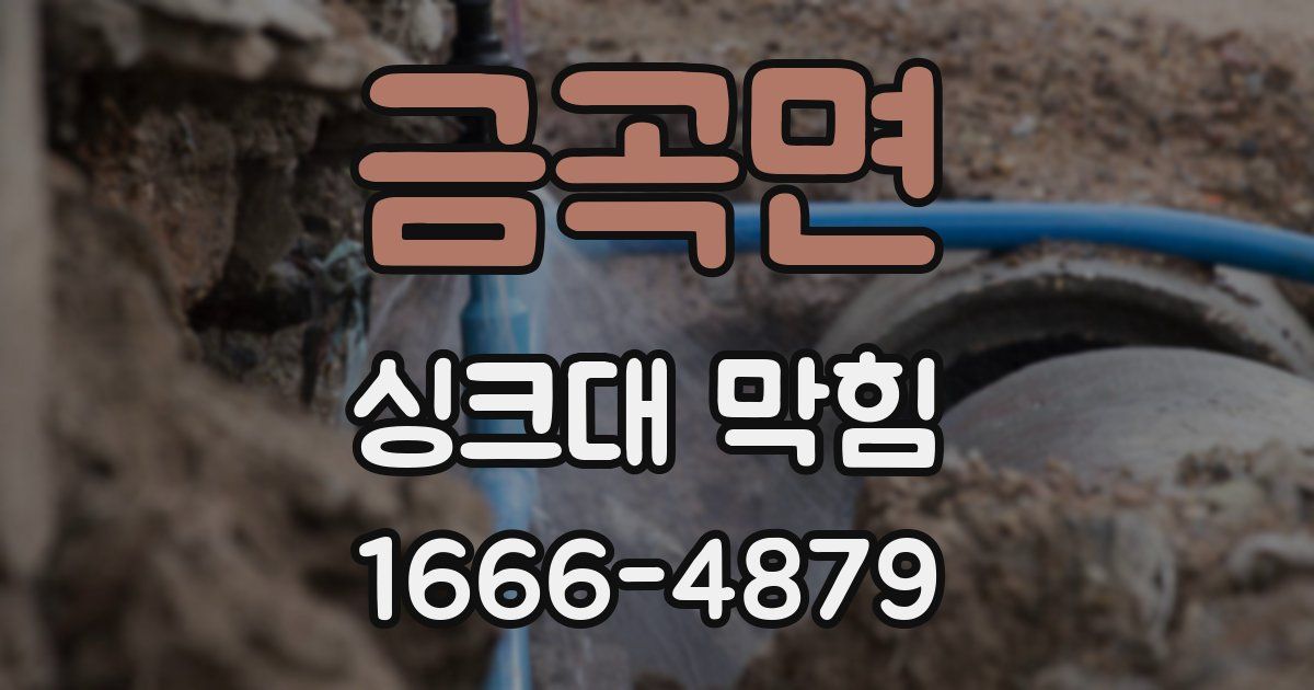 금곡면 싱크대 막힘